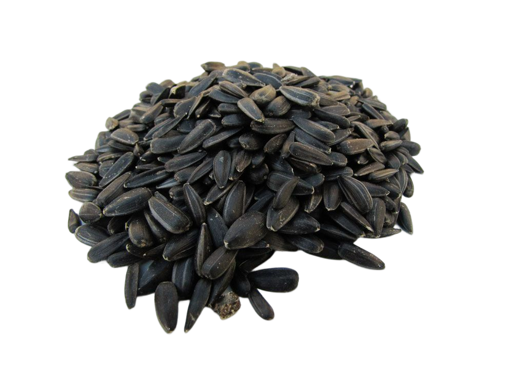 Kornkraft Sonnenblumenkerne schwarz 25kg