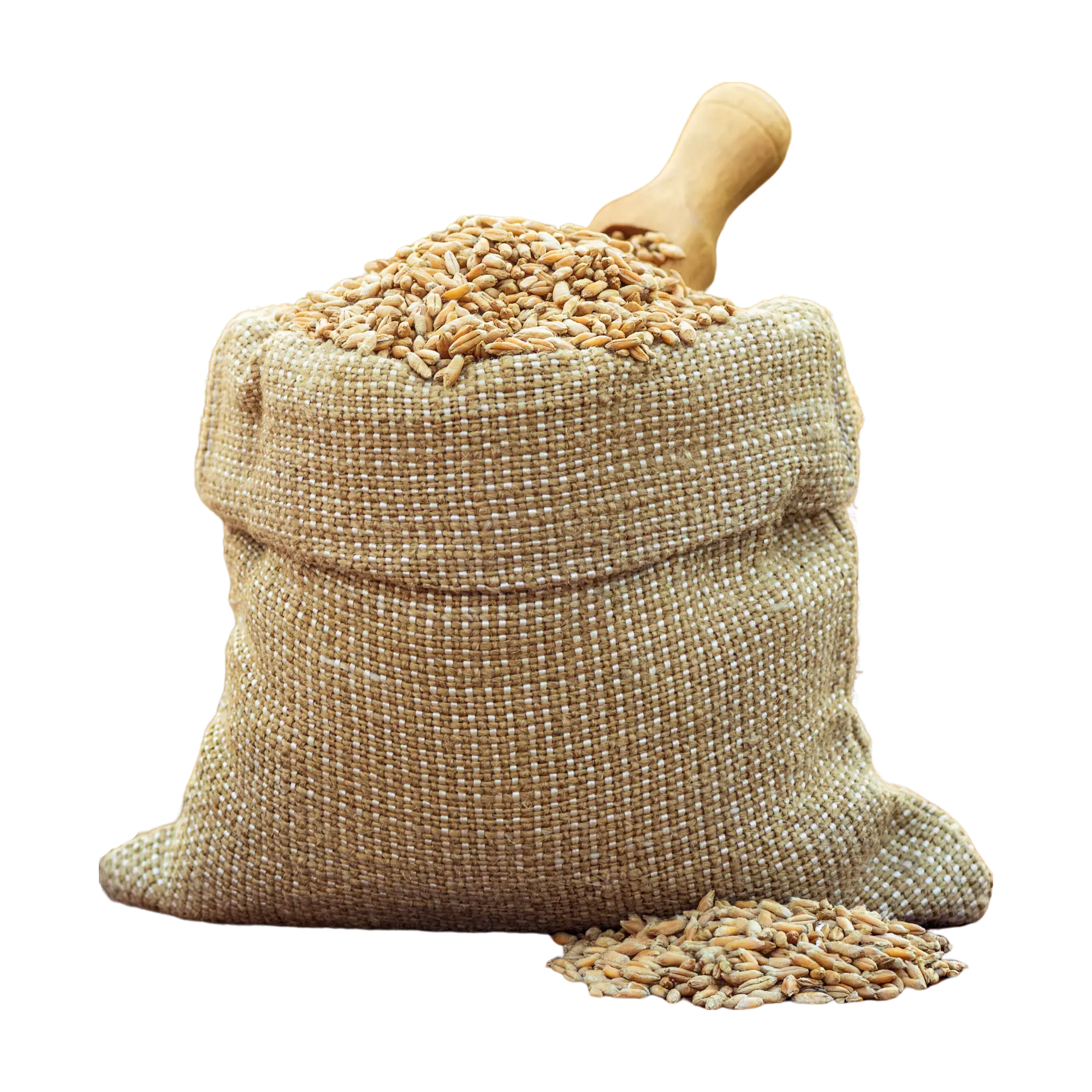 Futter-Weizen mit Tragegriff 11kg